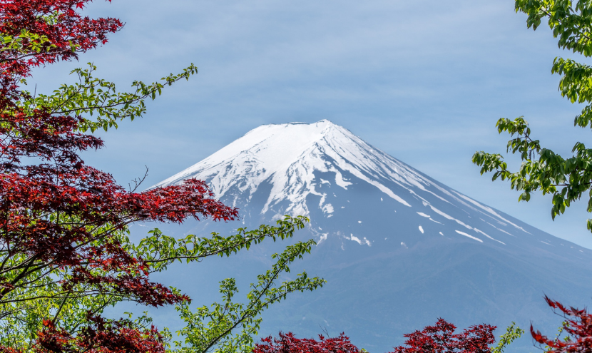 eye-tokai-branch