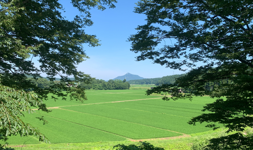 第24回春季大会（秋田）